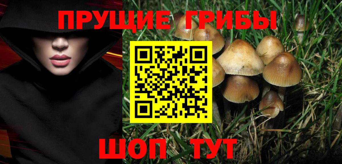 Ливны  Галлюциногенные грибы мицелий  как найти закладки  Псилоцибиновые грибы ЛСД  Вход с VPN 